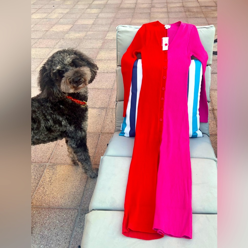 NWT-Pink and Red colorblock sweater dress